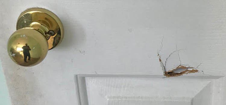 interior door hole repair Avenal